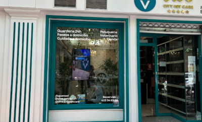 Vive Pet Salamanca | Guardería Y Peluquería para Perros en Madrid